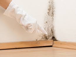 Mold Prevention