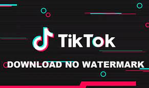 What’s the most effective way to remove TikTok watermark