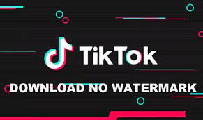 https://tiktokio.com/