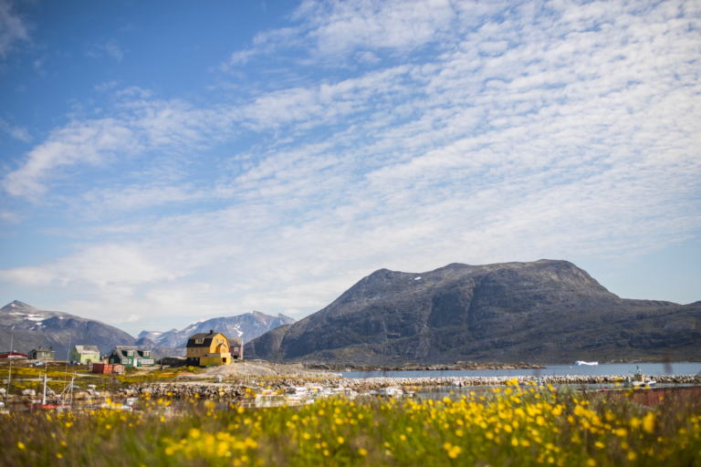 Arctic Escape: Experiencing the Serenity and Wildlife of Greenland